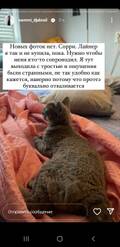 https://upforme.ru/uploads/001b/92/d8/1027/t179064.jpg