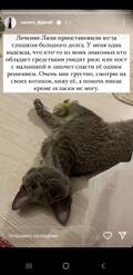 https://upforme.ru/uploads/001b/92/d8/1027/t268237.jpg