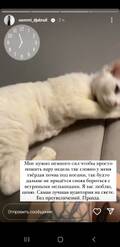 https://upforme.ru/uploads/001b/92/d8/1027/t301270.jpg