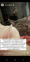 https://upforme.ru/uploads/001b/92/d8/1027/t439440.jpg