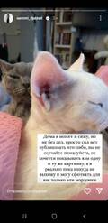 https://upforme.ru/uploads/001b/92/d8/1027/t464224.jpg