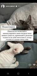 https://upforme.ru/uploads/001b/92/d8/1027/t524367.jpg