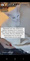 https://upforme.ru/uploads/001b/92/d8/1027/t576896.jpg