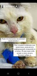 https://upforme.ru/uploads/001b/92/d8/1027/t598731.jpg