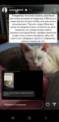 https://upforme.ru/uploads/001b/92/d8/1027/t676945.jpg