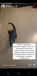 https://upforme.ru/uploads/001b/92/d8/1027/t741134.jpg