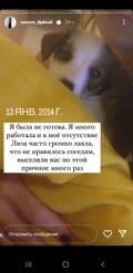https://upforme.ru/uploads/001b/92/d8/1027/t785415.jpg