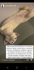 https://upforme.ru/uploads/001b/92/d8/1027/t831162.jpg