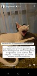 https://upforme.ru/uploads/001b/92/d8/1027/t846922.jpg