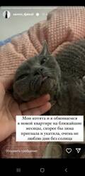 https://upforme.ru/uploads/001b/92/d8/1027/t923494.jpg