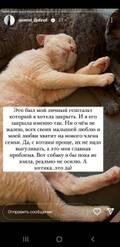 https://upforme.ru/uploads/001b/92/d8/1027/t93247.jpg