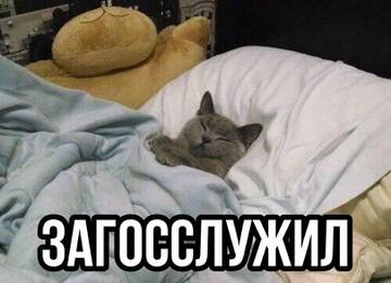 https://upforme.ru/uploads/001b/92/d8/1037/t92558.jpg