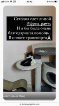 https://upforme.ru/uploads/001b/92/d8/1041/t116749.jpg