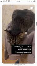 https://upforme.ru/uploads/001b/92/d8/1041/t188615.jpg