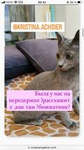 https://upforme.ru/uploads/001b/92/d8/1041/t470011.jpg