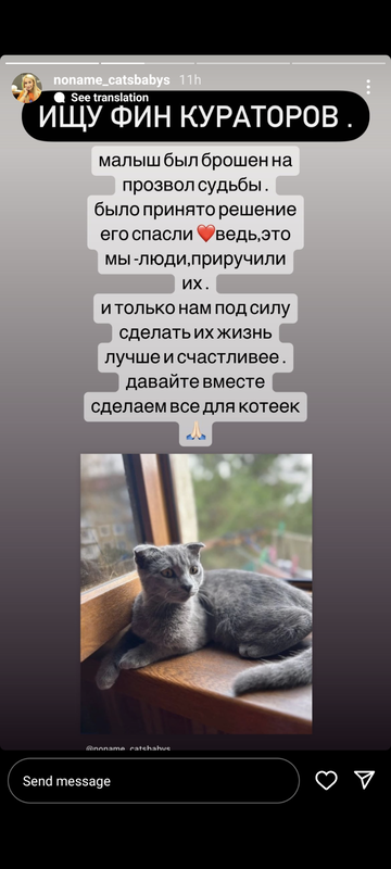 https://upforme.ru/uploads/001b/92/d8/1041/t57680.png