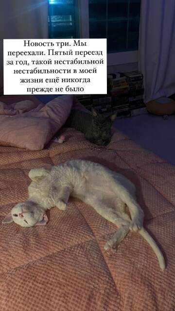 https://upforme.ru/uploads/001b/92/d8/1041/t635366.jpg