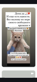 https://upforme.ru/uploads/001b/92/d8/1041/t707959.png