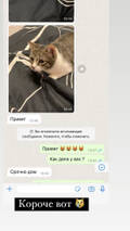 https://upforme.ru/uploads/001b/92/d8/1041/t922013.jpg