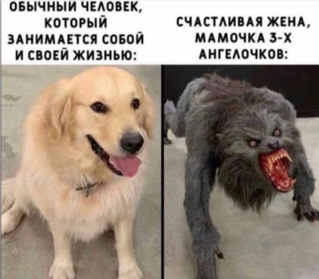 https://upforme.ru/uploads/001b/92/d8/110/660831.jpg