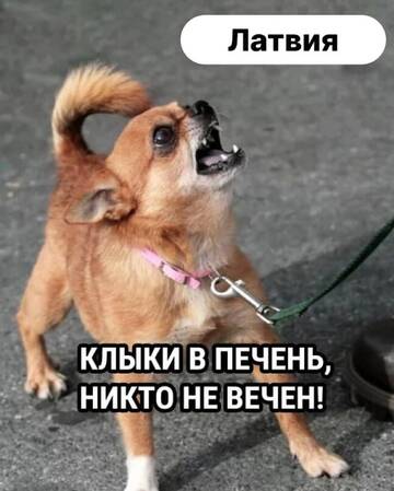 https://upforme.ru/uploads/001b/92/d8/110/t189080.jpg