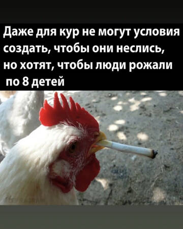 https://upforme.ru/uploads/001b/92/d8/1110/t240737.jpg