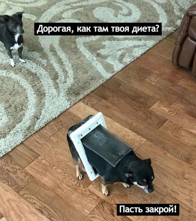 https://upforme.ru/uploads/001b/92/d8/1131/182743.jpg