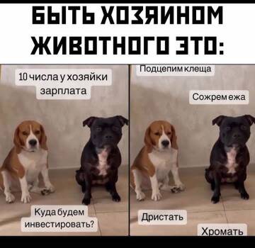 https://upforme.ru/uploads/001b/92/d8/1131/t219947.jpg