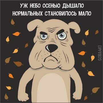 https://upforme.ru/uploads/001b/92/d8/1131/t374267.jpg