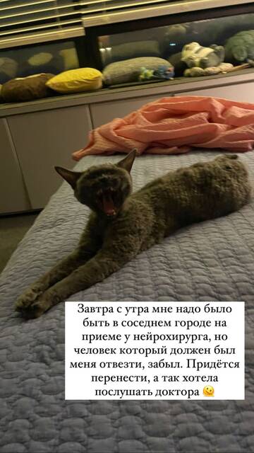 https://upforme.ru/uploads/001b/92/d8/1163/t11363.jpg