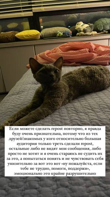 https://upforme.ru/uploads/001b/92/d8/1163/t975653.jpg