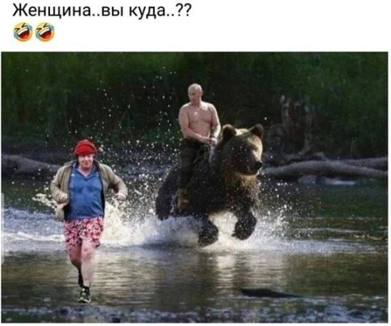 https://upforme.ru/uploads/001b/92/d8/12/453594.jpg