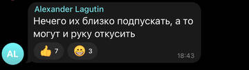 https://upforme.ru/uploads/001b/92/d8/12/t43514.jpg