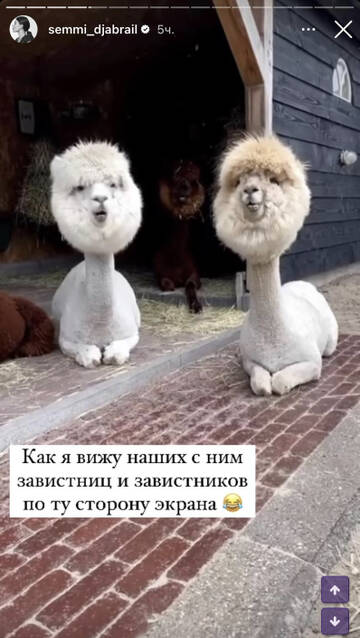 https://upforme.ru/uploads/001b/92/d8/1219/t177947.jpg