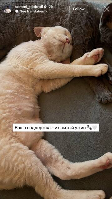 https://upforme.ru/uploads/001b/92/d8/1219/t486698.jpg