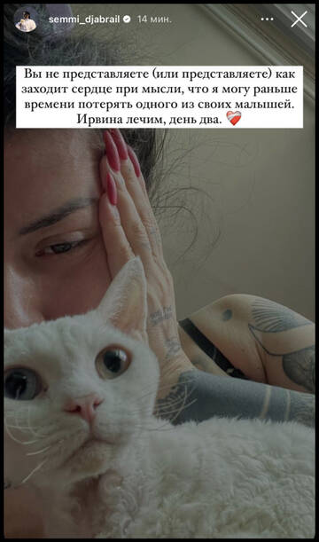 https://upforme.ru/uploads/001b/92/d8/1219/t583259.jpg