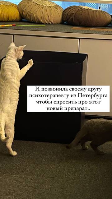 https://upforme.ru/uploads/001b/92/d8/1246/t645408.jpg