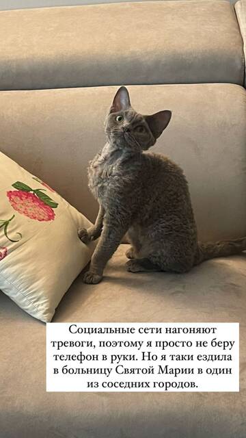 https://upforme.ru/uploads/001b/92/d8/1246/t677368.jpg