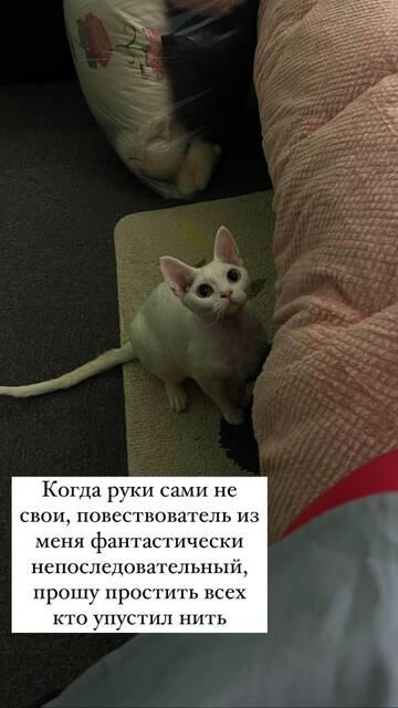https://upforme.ru/uploads/001b/92/d8/1246/t767617.jpg