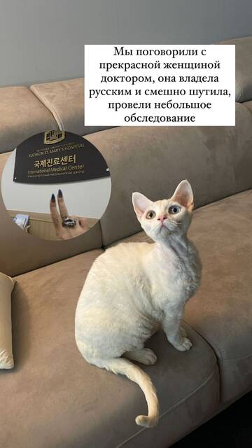 https://upforme.ru/uploads/001b/92/d8/1246/t992207.jpg
