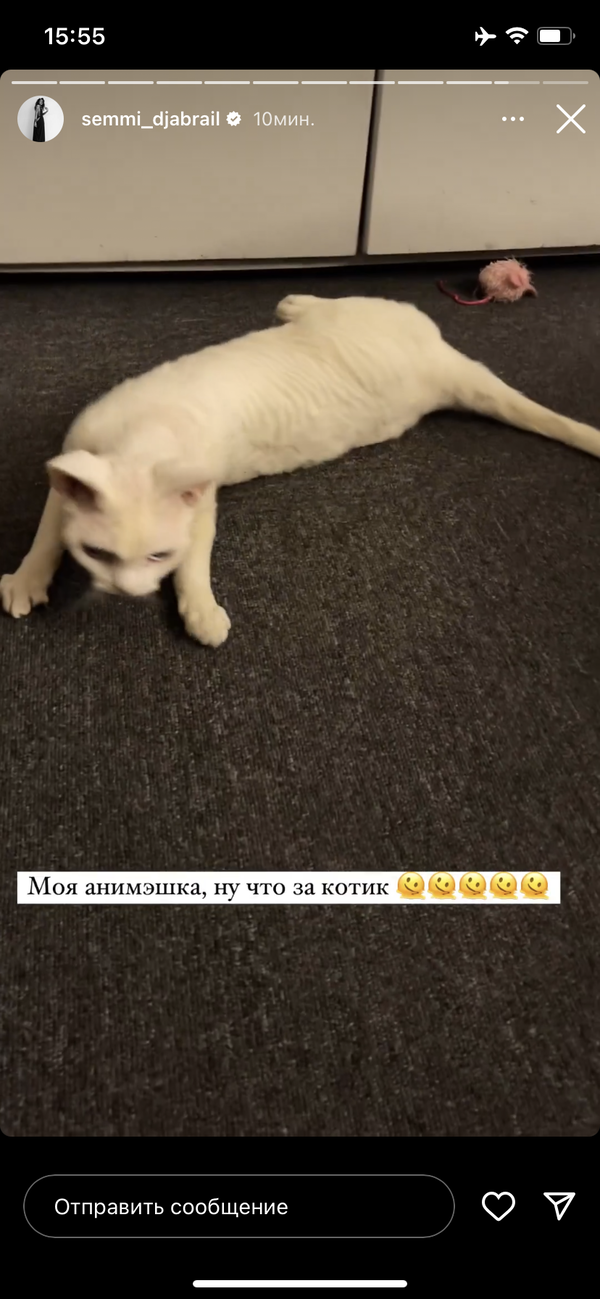 https://upforme.ru/uploads/001b/92/d8/1267/t187196.png