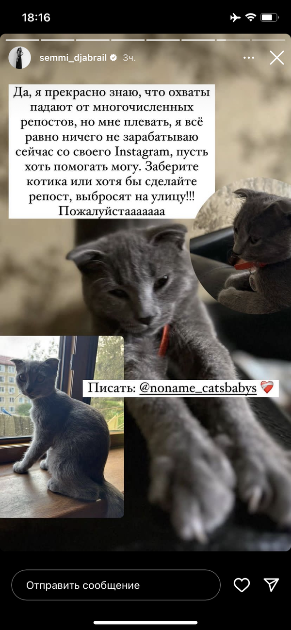 https://upforme.ru/uploads/001b/92/d8/1267/t488886.png