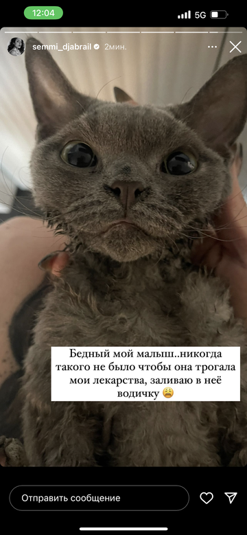 https://upforme.ru/uploads/001b/92/d8/1295/t315402.png