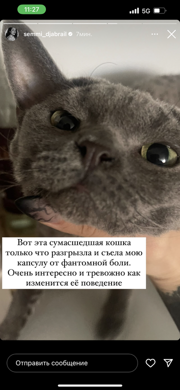 https://upforme.ru/uploads/001b/92/d8/1295/t491201.png