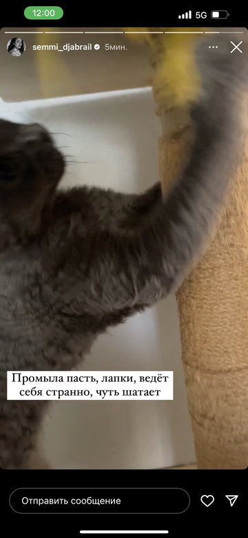 https://upforme.ru/uploads/001b/92/d8/1295/t859882.png