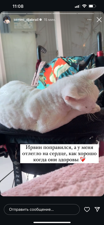 https://upforme.ru/uploads/001b/92/d8/1295/t992293.png