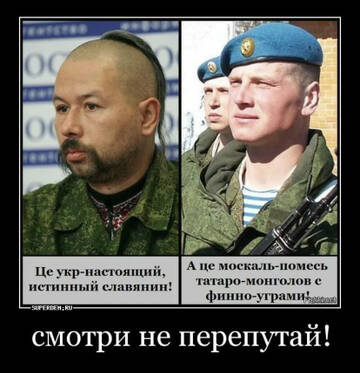 https://upforme.ru/uploads/001b/92/d8/13/t854029.jpg