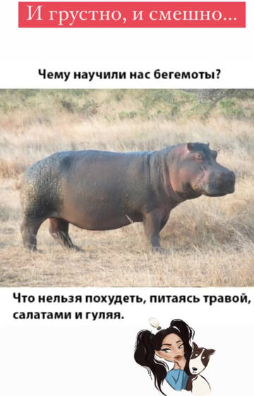 https://upforme.ru/uploads/001b/92/d8/13/t93556.jpg
