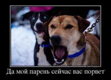 https://upforme.ru/uploads/001b/92/d8/1315/t101372.jpg