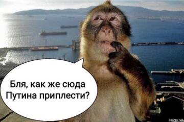 https://upforme.ru/uploads/001b/92/d8/1315/t355761.jpg